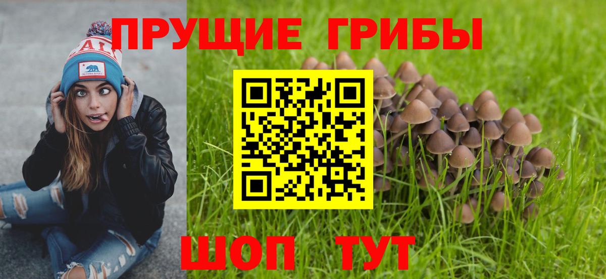 Псилоцибиновые грибы Psilocybine cubensis Соликамск